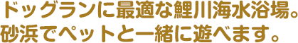 ドッグランに最適な鯉川海水浴場。砂浜でペットと一緒に遊べます。