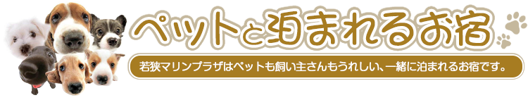 ペットと泊まれるお宿